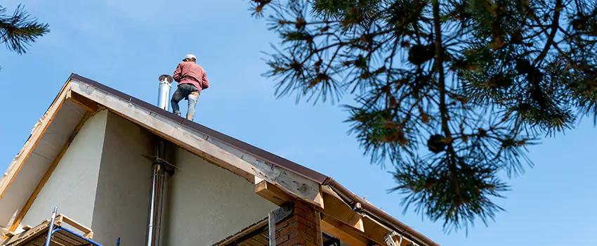 Birds Removal Contractors from Chimney in Kirksville, MO
